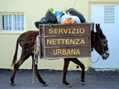 © Photo Andrea Magnani
