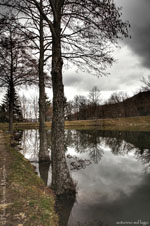 © Photo Andrea Magnani