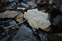 © Photo Andrea Magnani