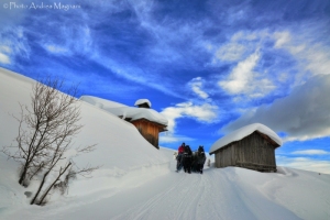Dolomiti