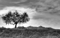 © Photo Andrea Magnani